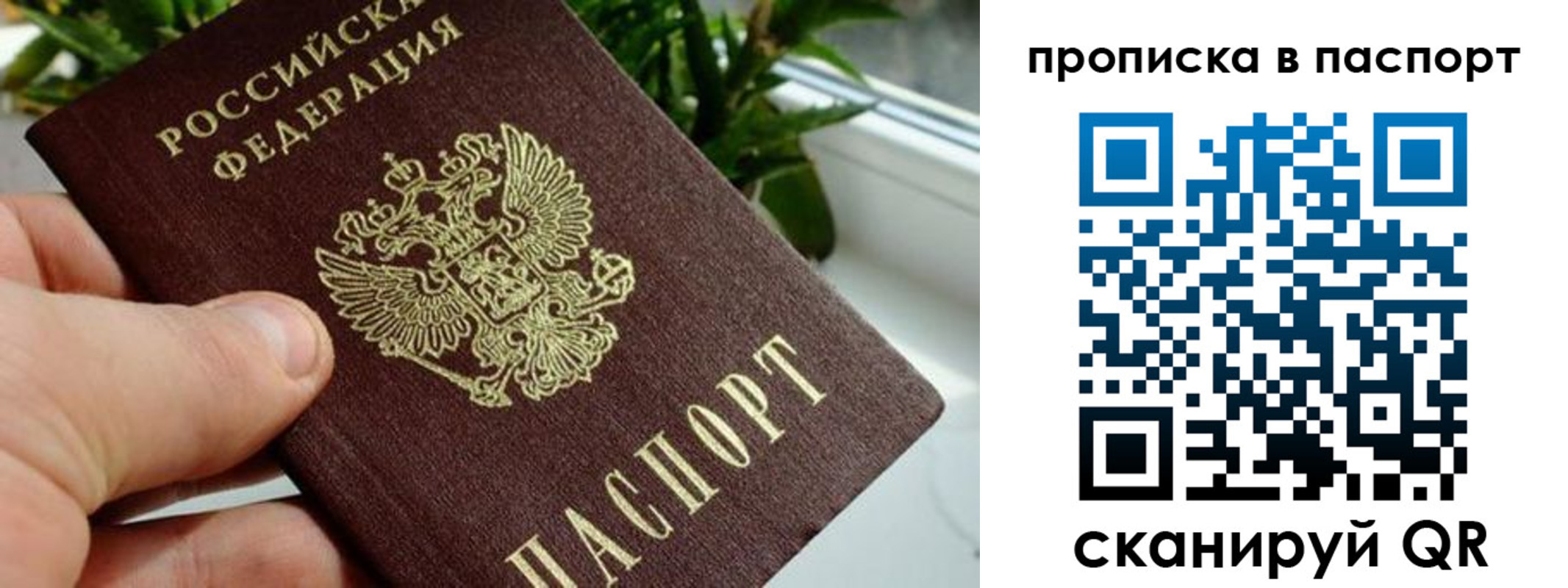 пропишу в квартире в Калмыкии